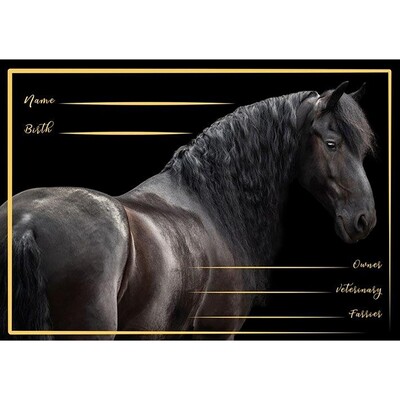 HB Stable plate Friesian horse III